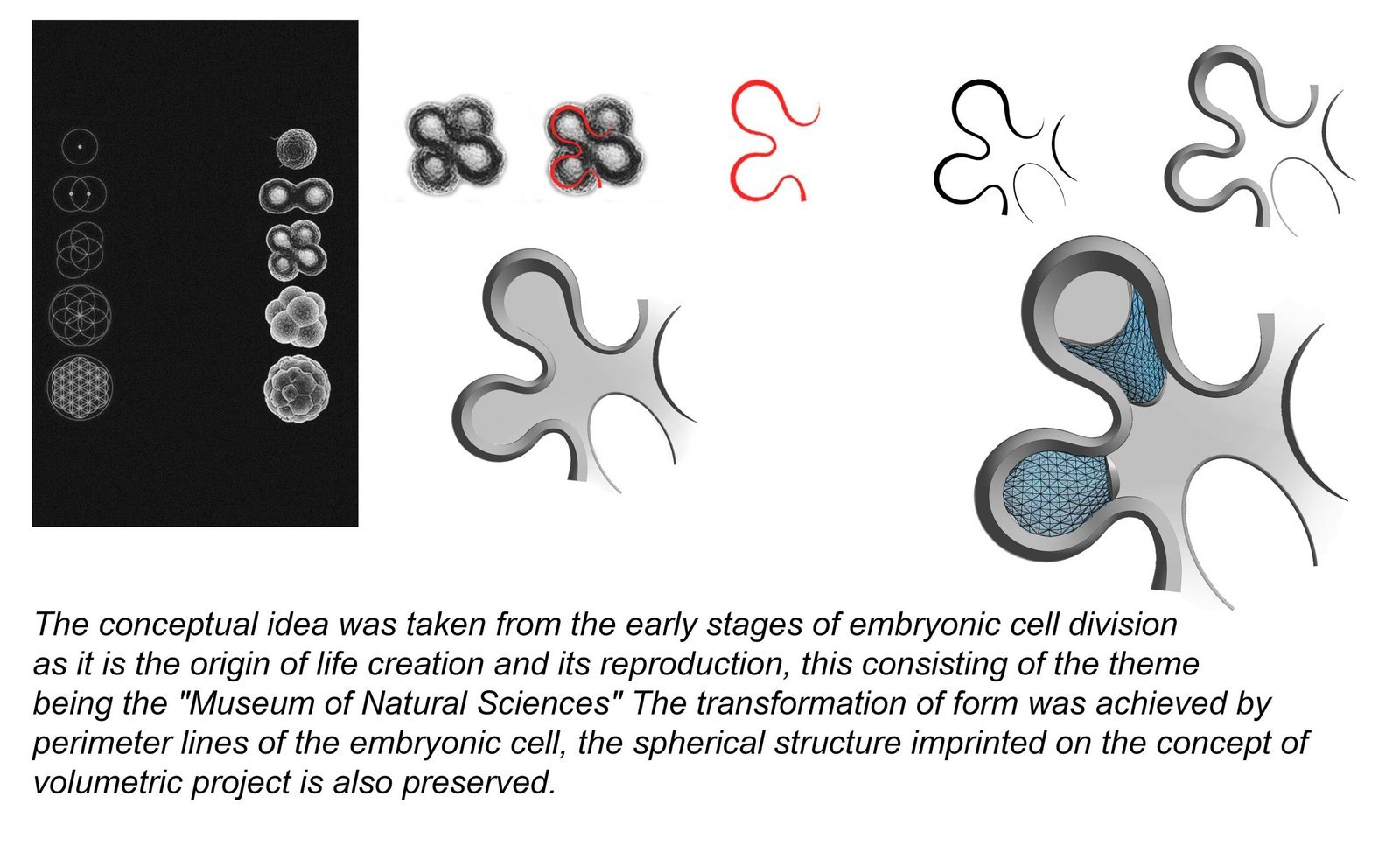 Museum Of Natural Science